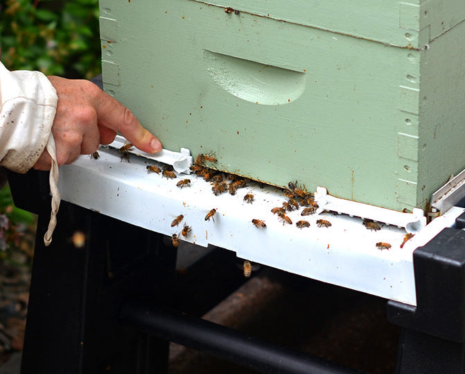 Bee Smart Ultimate Bottom Board