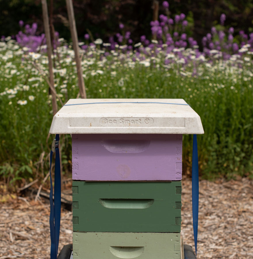 Bee Smart Ultimate Hive Cover