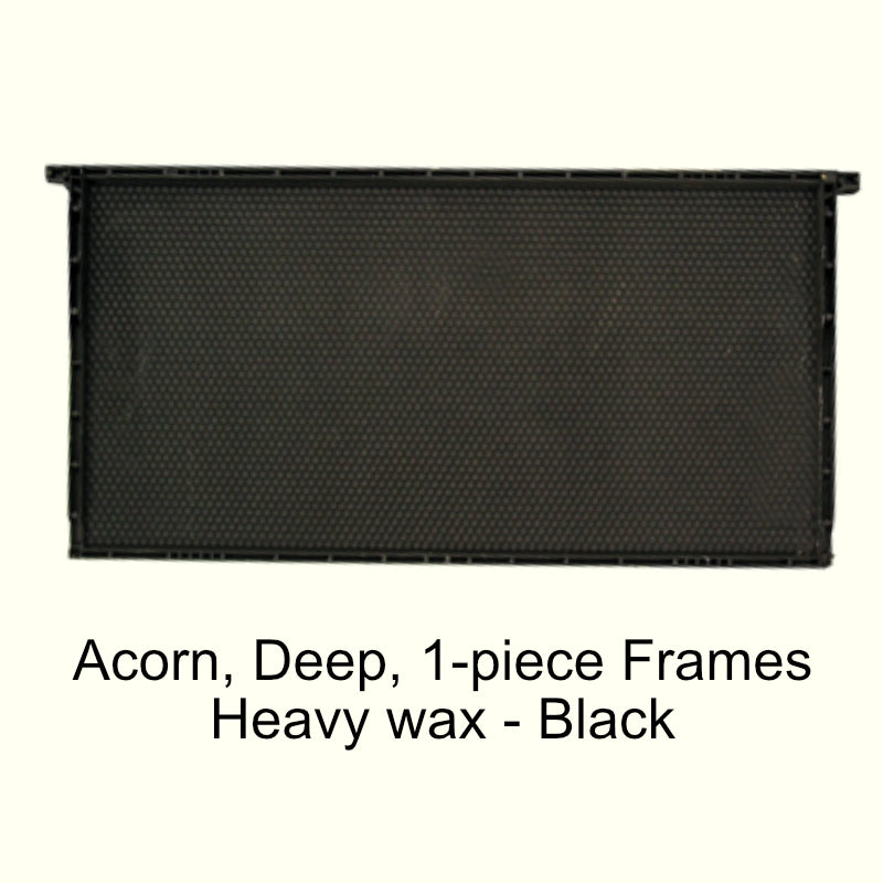 Frames - Plastic, - Acorn, Deep, Black & Green