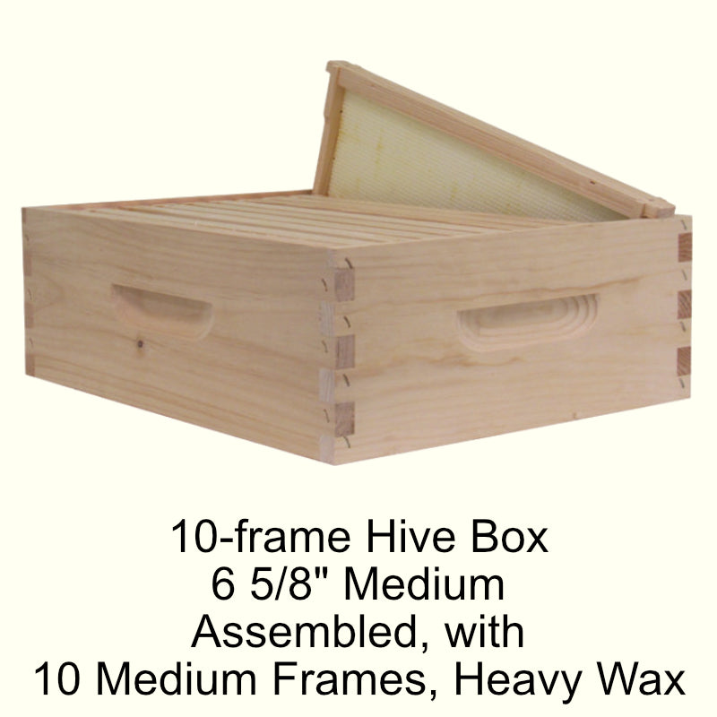 10-Frame Medium Hive Boxes